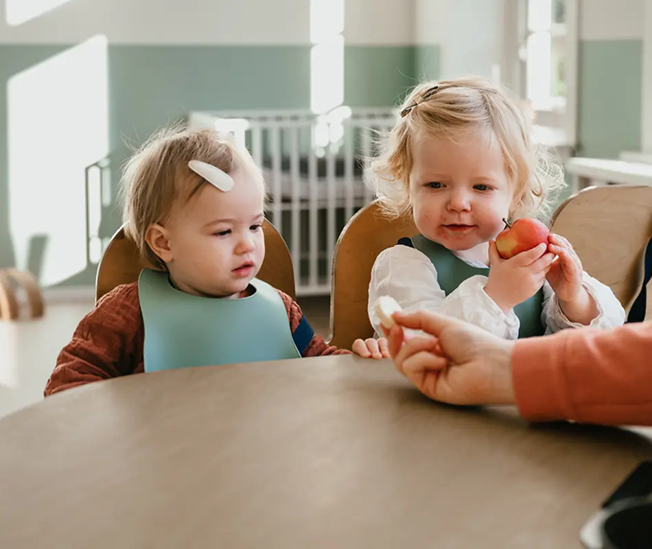 Compananny Kenniscentrum Proeven En Proberen Zo Ga Je Om Met Je Baby’S Eerste Hapje