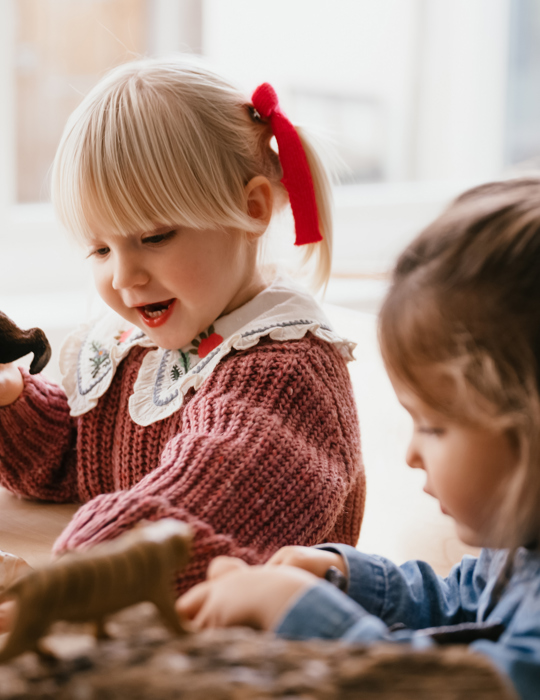 Kinderen spelen aan tafel met speelgoed